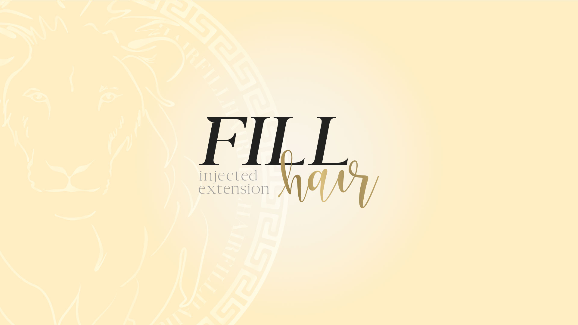 portifa_fillhair_capa